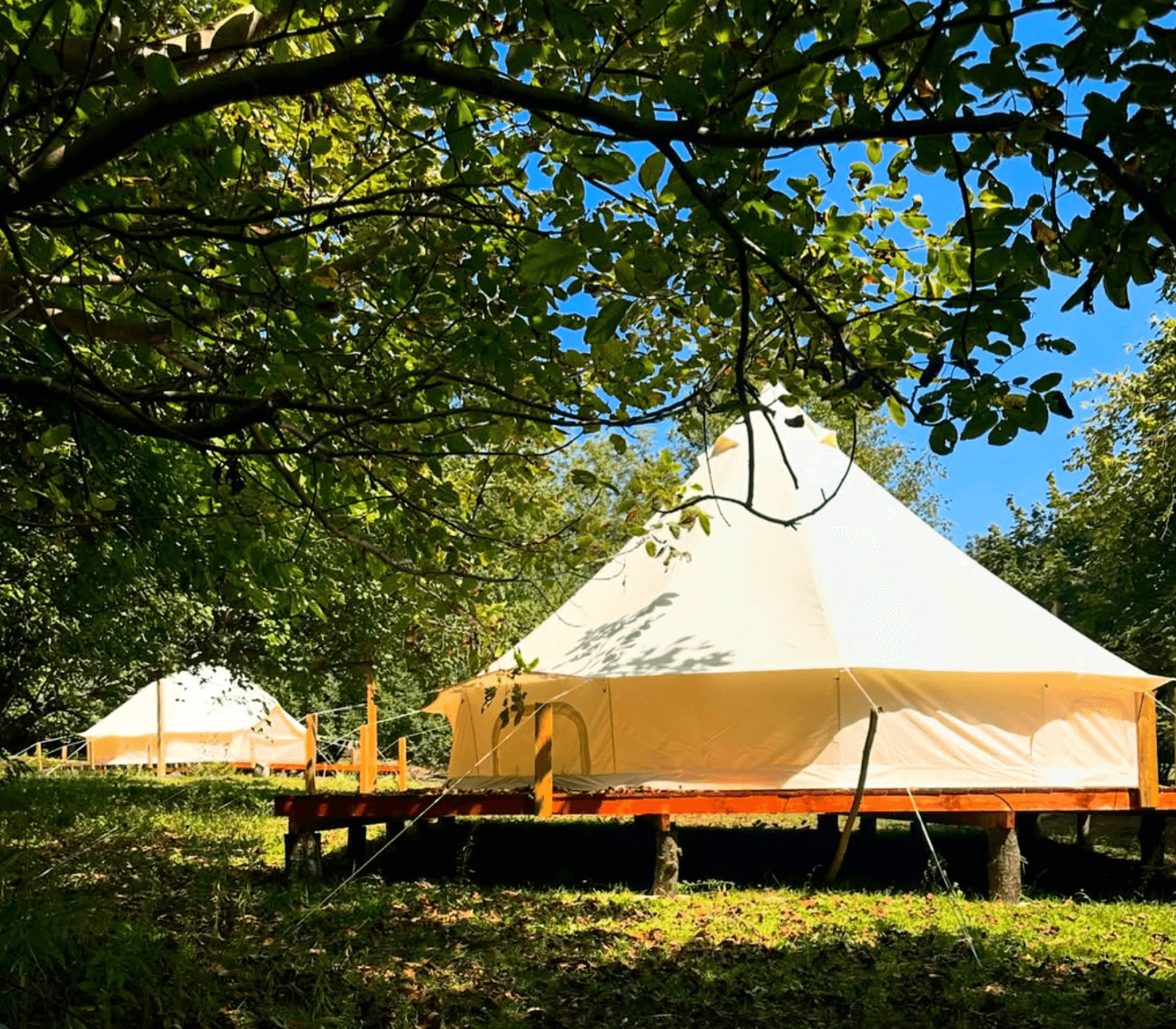 eventDetail